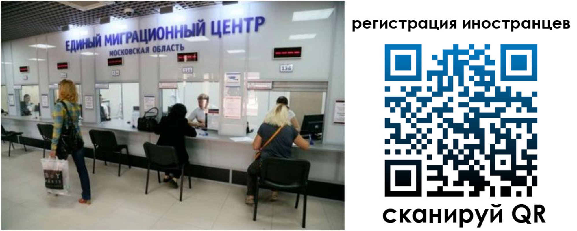 где прописаться в Щёкино